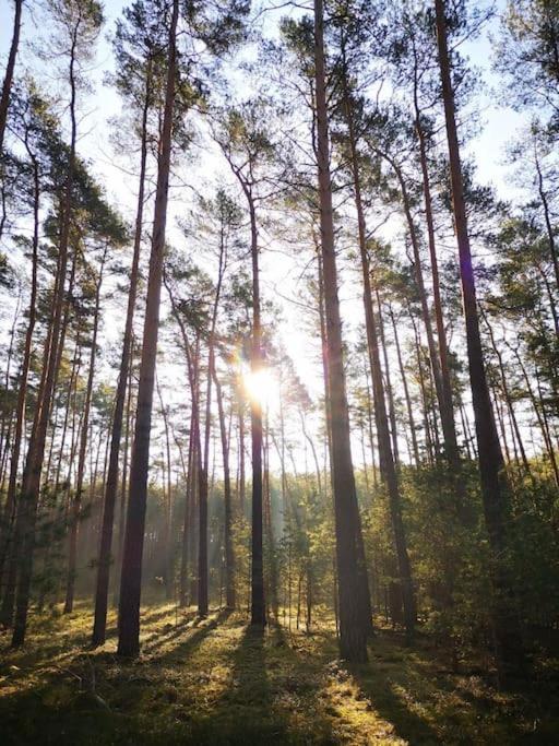 Gaestesuite Am Waldrand, Ausstieg Auf Zeit Heideblick Esterno foto